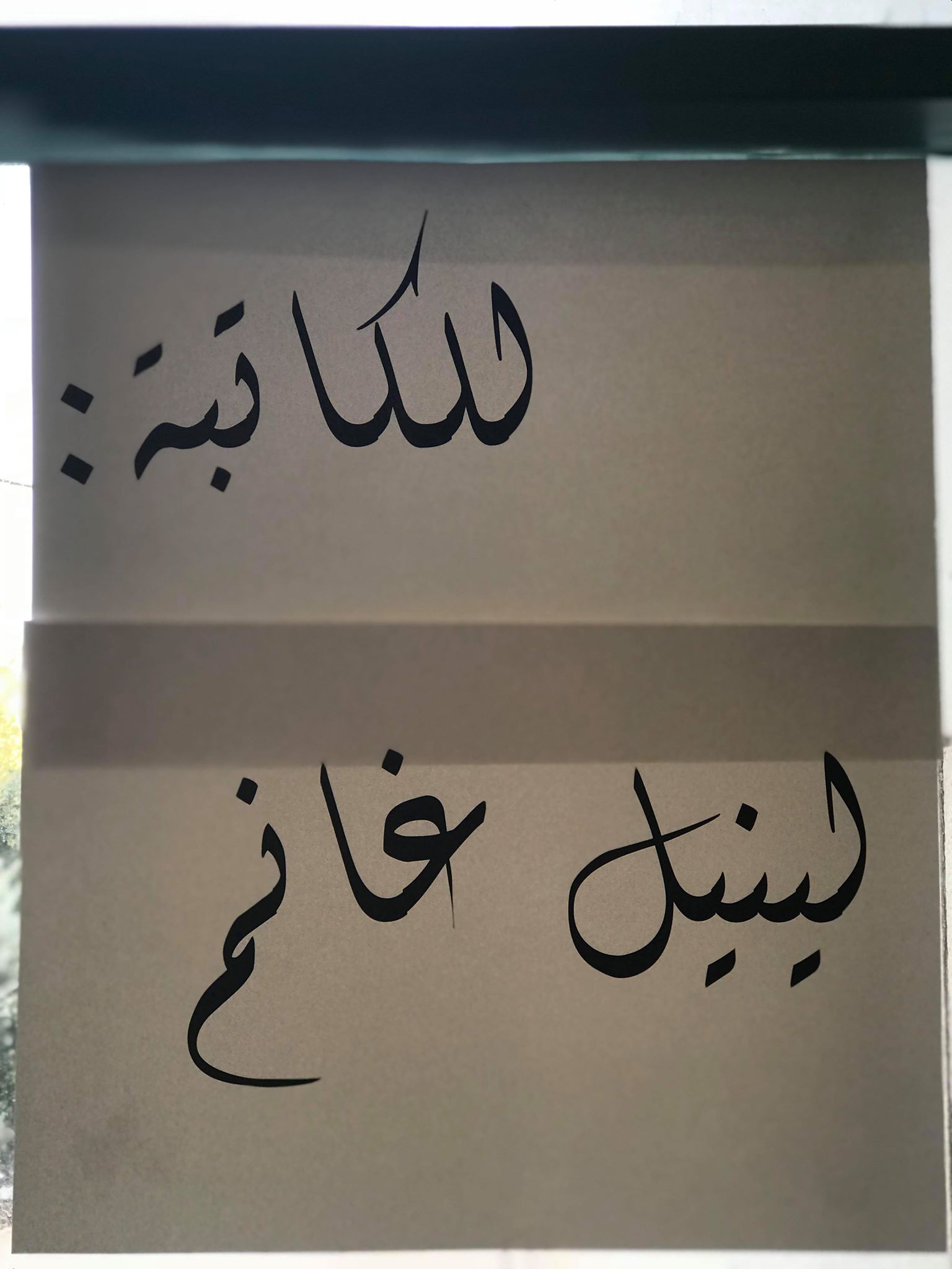 المغار : امسية لاشهار كتاب بعنوان دروز بين دمش وتل ابيب للكاتبة لينيل غانم 